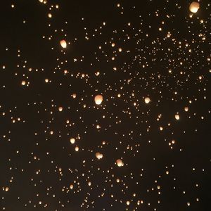 Meet your Posher, Annabelle